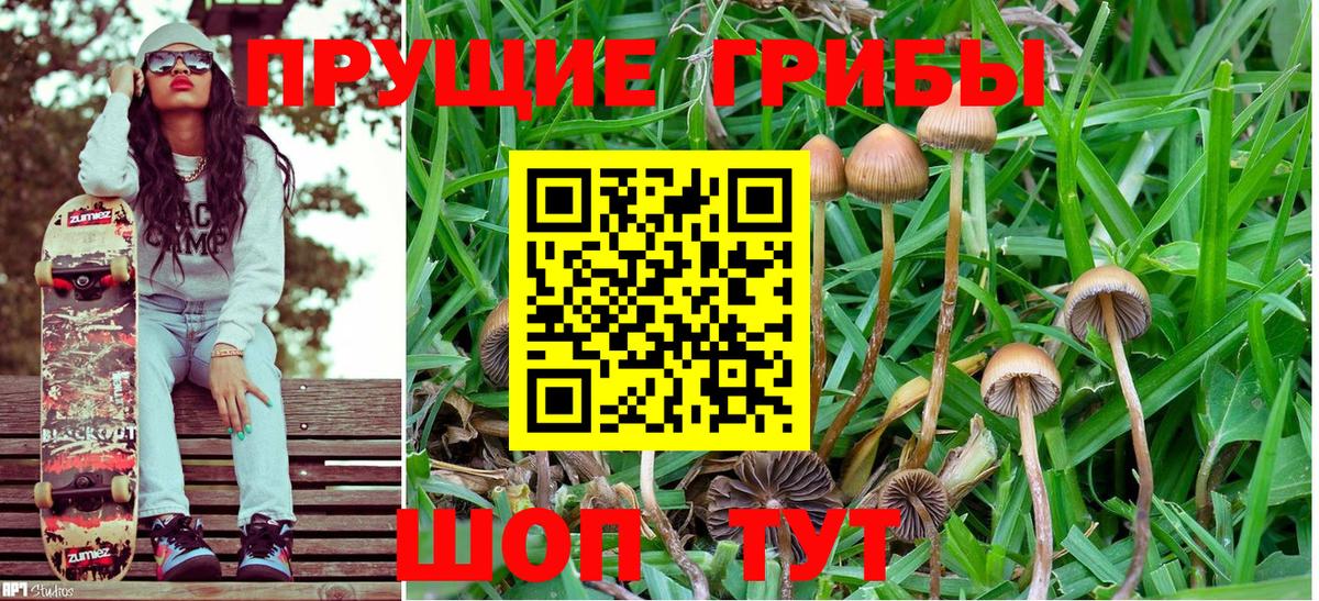 продажа наркотиков  Галлюциногенные грибы ЛСД  Дмитров  Псилоцибиновые грибы MAGIC MUSHROOMS 